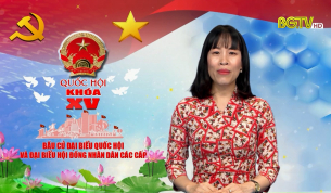 Tiểu sử tóm tắt và CT hành động của ứng viên đại biểu Quốc hội khóa XV: Bà Nguyễn Việt Anh