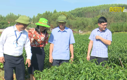 Tín hiệu tích cực từ chương trình nông thôn mới
