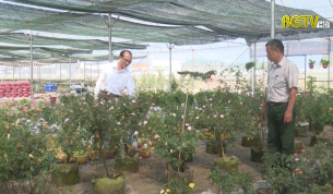 Tổng kết 5 năm thực hiện chương trình Làng Lúa Làng Hoa
