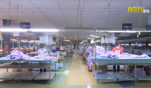 Triển khai chính sách hỗ trợ người sử dụng lao động
