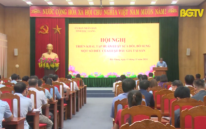 Triển khai luật sửa đổi, bổ sung một số điều của Luật Đấu giá tài sản 