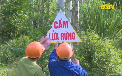 Triển khai phòng cháy, chữa cháy rừng mùa khô 2024-2025  