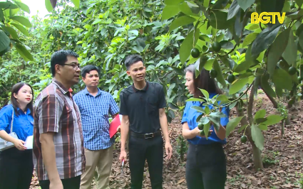 Ứng dụng khoa học công nghệ trong phát triển kinh tế ở miền núi
