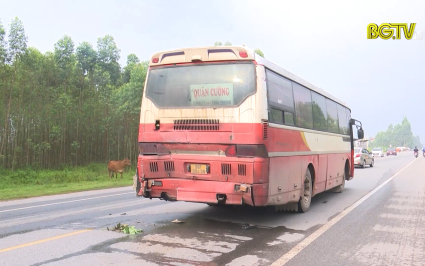 Va chạm giao thông giữa 2 xe ô tô trên đường tỉnh 293