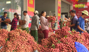 Vải thiều tiếp tục tăng giá trong những ngày gần đây