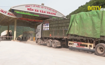 Vải thiều ưu tiên xuất khẩu qua cửa khẩu Lạng Sơn