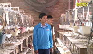 Việt Yên: Điểm sáng trong phát triển mô hình kinh tế thanh niên