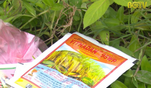 Vỏ bao bì thuốc bảo vệ thực vật vẫn vứt tràn lan ở nhiều nơi