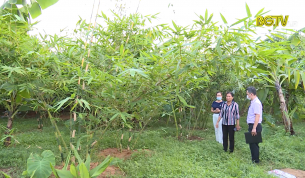 Vốn vay giải quyết việc làm cho người lao động ở nông thôn
