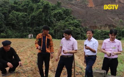 Xây dựng Đảng: Trách nhiệm tổ chức Đảng và Đảng viên giúp đỡ hộ nghèo