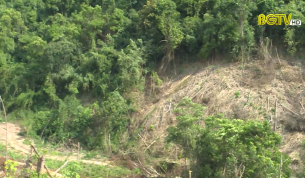 Xử lý nghiêm phát vén, phá rừng tự nhiên