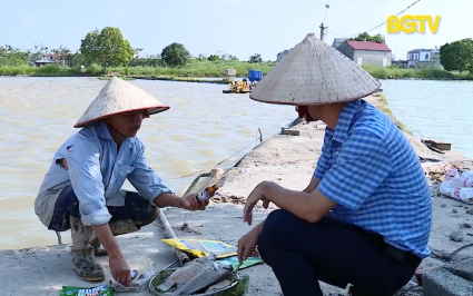 Xuất hiện dịch bệnh thủy sản nguy hiểm 