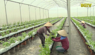 Yên Dũng nâng cao chất lượng tiêu chí xây dựng nông thôn mới