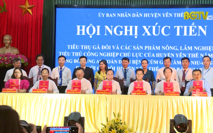 Đẩy mạnh kết nối, xúc tiến, mở rộng thị trường tiêu thụ nông sản